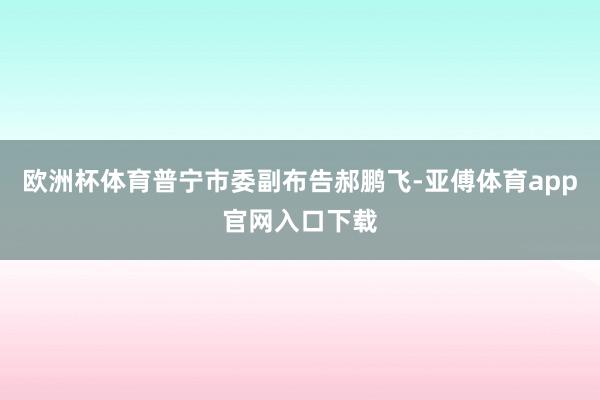 欧洲杯体育普宁市委副布告郝鹏飞-亚傅体育app官网入口下载