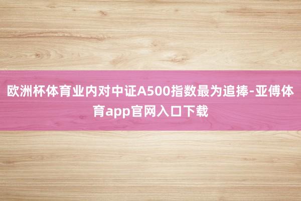 欧洲杯体育业内对中证A500指数最为追捧-亚傅体育app官网入口下载