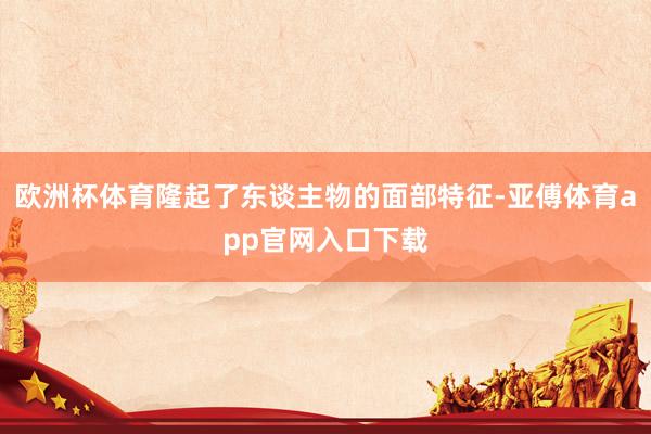欧洲杯体育隆起了东谈主物的面部特征-亚傅体育app官网入口下载