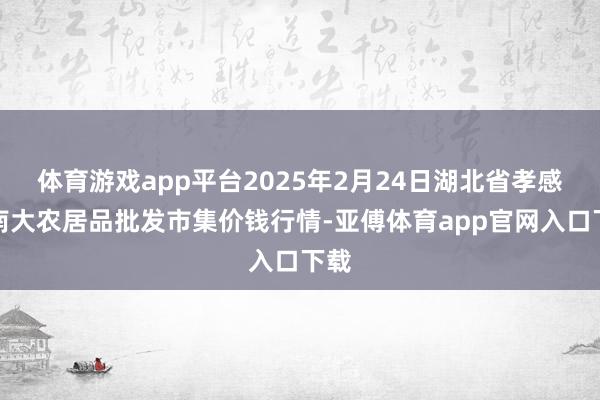 体育游戏app平台2025年2月24日湖北省孝感市南大农居品批发市集价钱行情-亚傅体育app官网入口下载