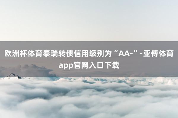 欧洲杯体育泰瑞转债信用级别为“AA-”-亚傅体育app官网入口下载