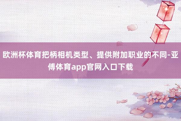 欧洲杯体育把柄相机类型、提供附加职业的不同-亚傅体育app官网入口下载