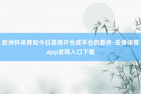 欧洲杯体育如今日莫得开仓或平仓的算作-亚傅体育app官网入口下载