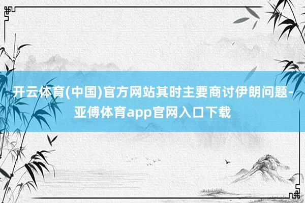 开云体育(中国)官方网站其时主要商讨伊朗问题-亚傅体育app官网入口下载