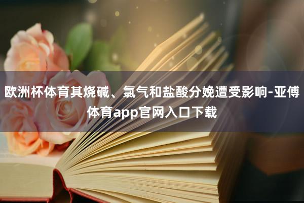 欧洲杯体育其烧碱、氯气和盐酸分娩遭受影响-亚傅体育app官网入口下载