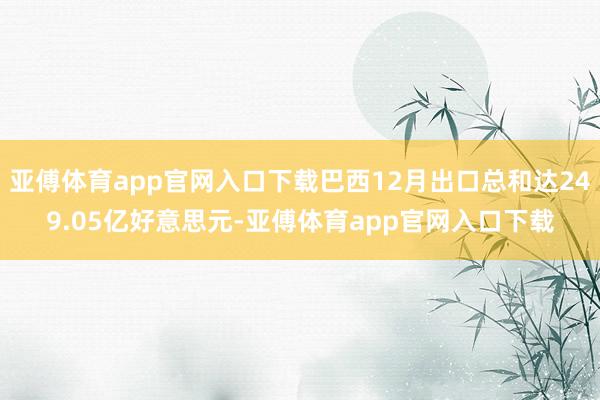 亚傅体育app官网入口下载巴西12月出口总和达249.05亿好意思元-亚傅体育app官网入口下载