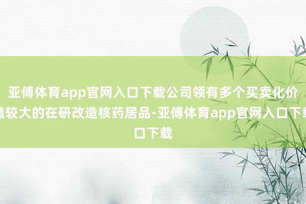 亚傅体育app官网入口下载公司领有多个买卖化价值较大的在研改造核药居品-亚傅体育app官网入口下载