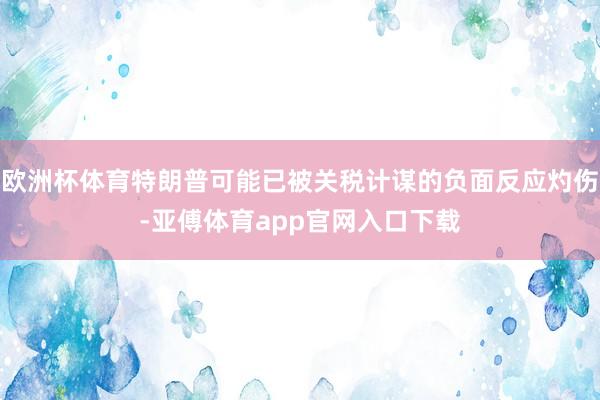 欧洲杯体育特朗普可能已被关税计谋的负面反应灼伤-亚傅体育app官网入口下载