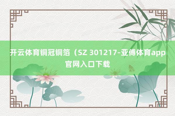 开云体育铜冠铜箔（SZ 301217-亚傅体育app官网入口下载