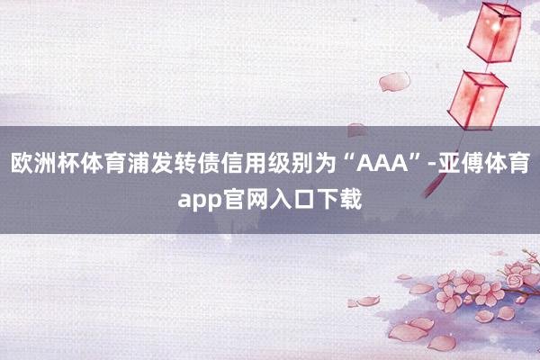 欧洲杯体育浦发转债信用级别为“AAA”-亚傅体育app官网入口下载