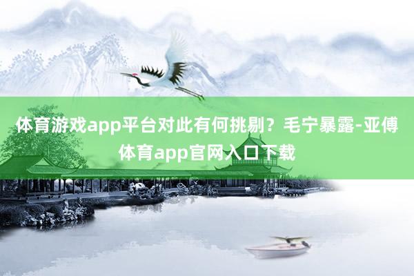 体育游戏app平台对此有何挑剔？毛宁暴露-亚傅体育app官网入口下载