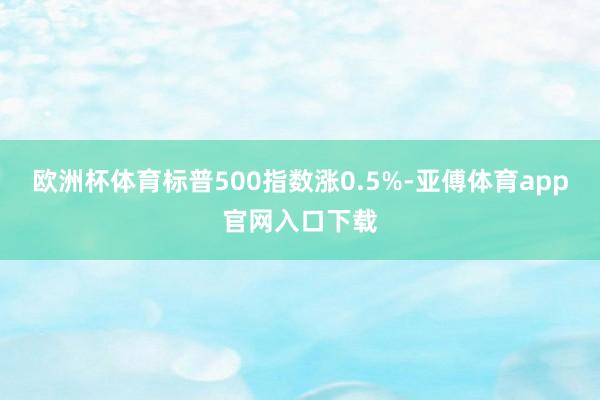 欧洲杯体育标普500指数涨0.5%-亚傅体育app官网入口下载